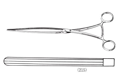 腸鉗子 直型