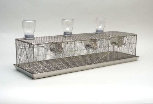 マウス ラット 飼育ケージ 3点セット 実験動物用 新品 ペット用品 かご 