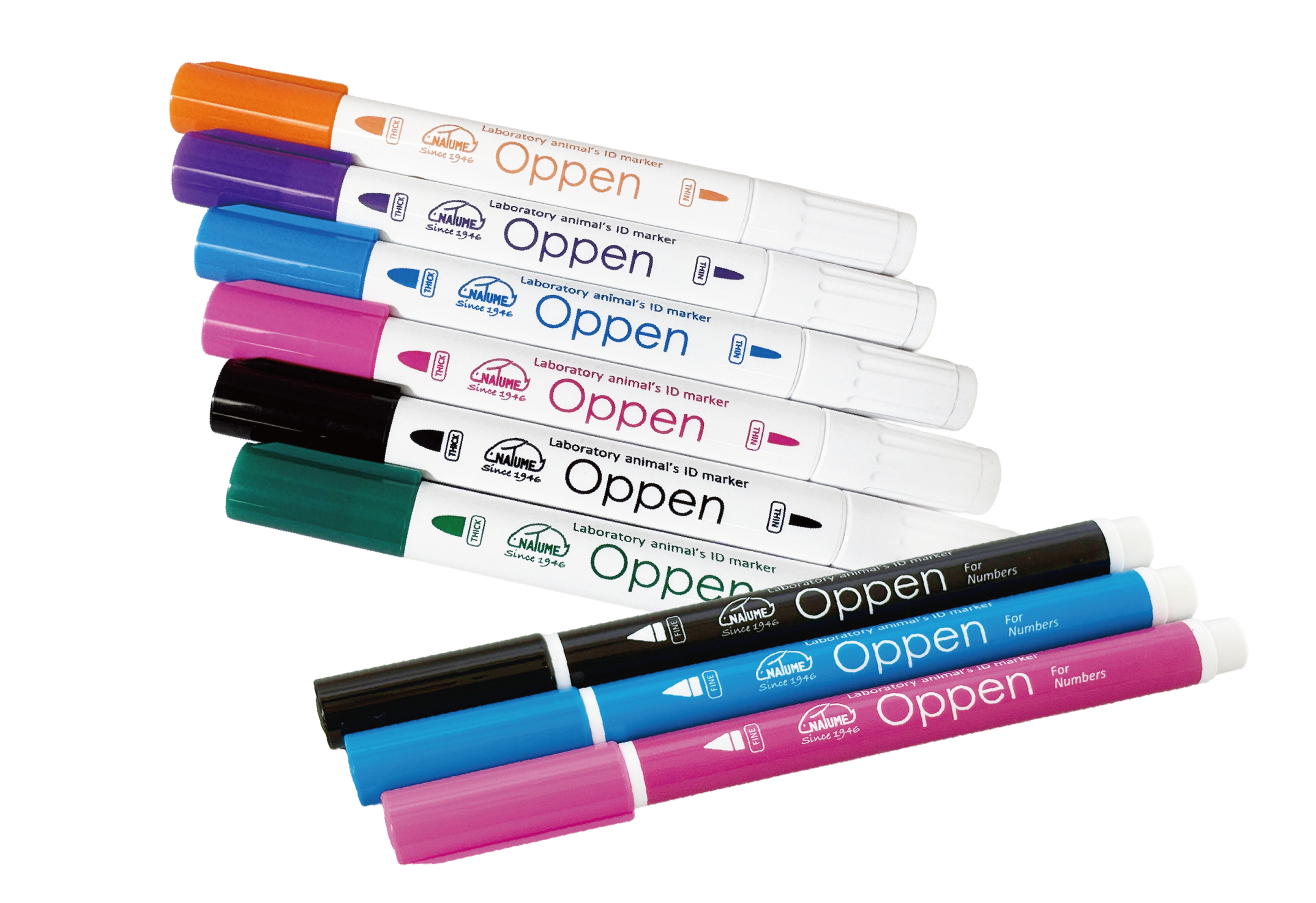 Oppen
