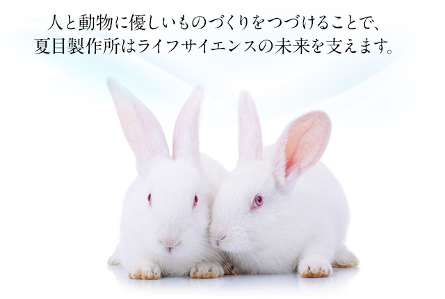 動物たちへの感謝